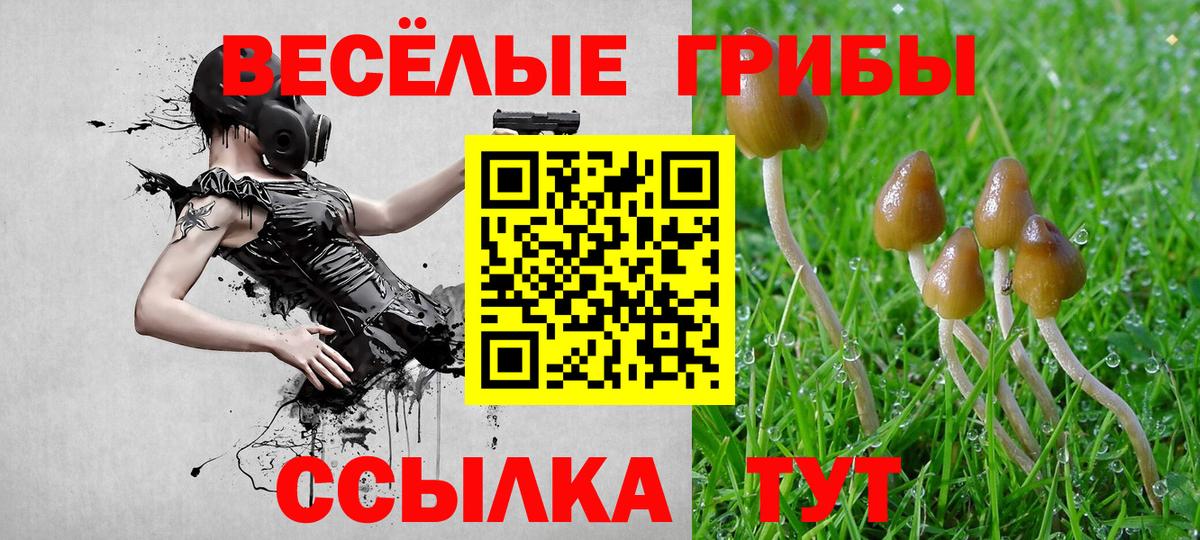 Псилоцибиновые грибы GOLDEN TEACHER Верхняя Пышма
